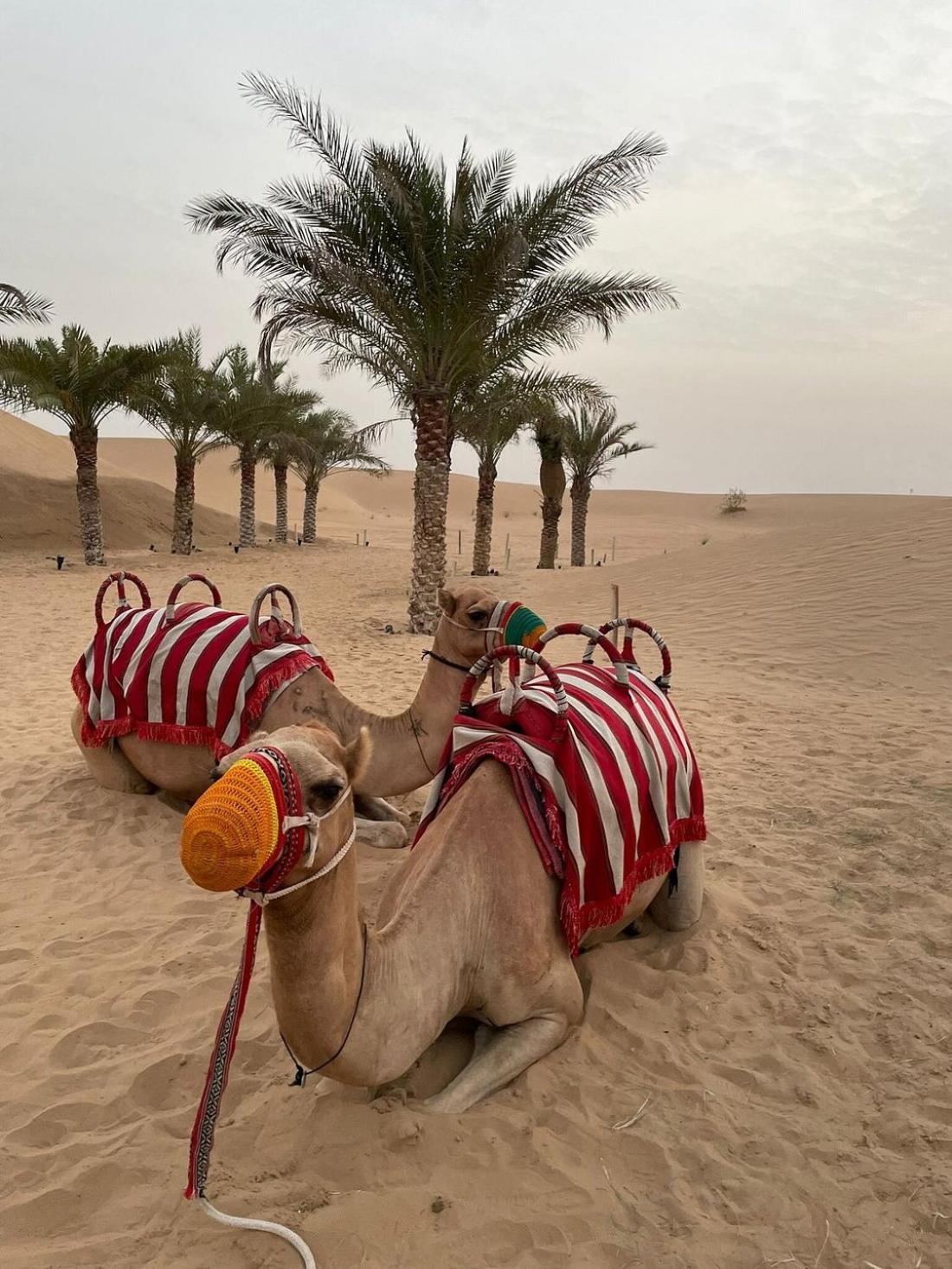 Al Khayma Camp "Elite Glamping & Dining In Experience" Hotell Hunaywah Eksteriør bilde